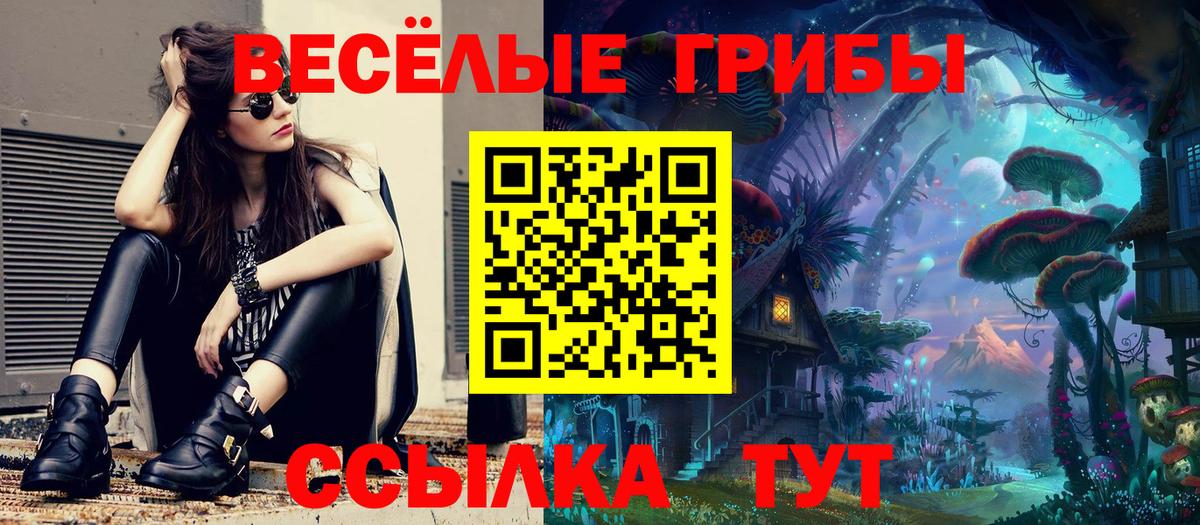 Галлюциногенные грибы прущие грибы Кизляр
