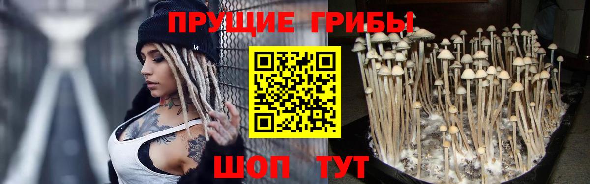 Псилоцибиновые грибы мухоморы  Вход с VPN  Кизляр  Псилоцибиновые грибы Magic Shrooms 